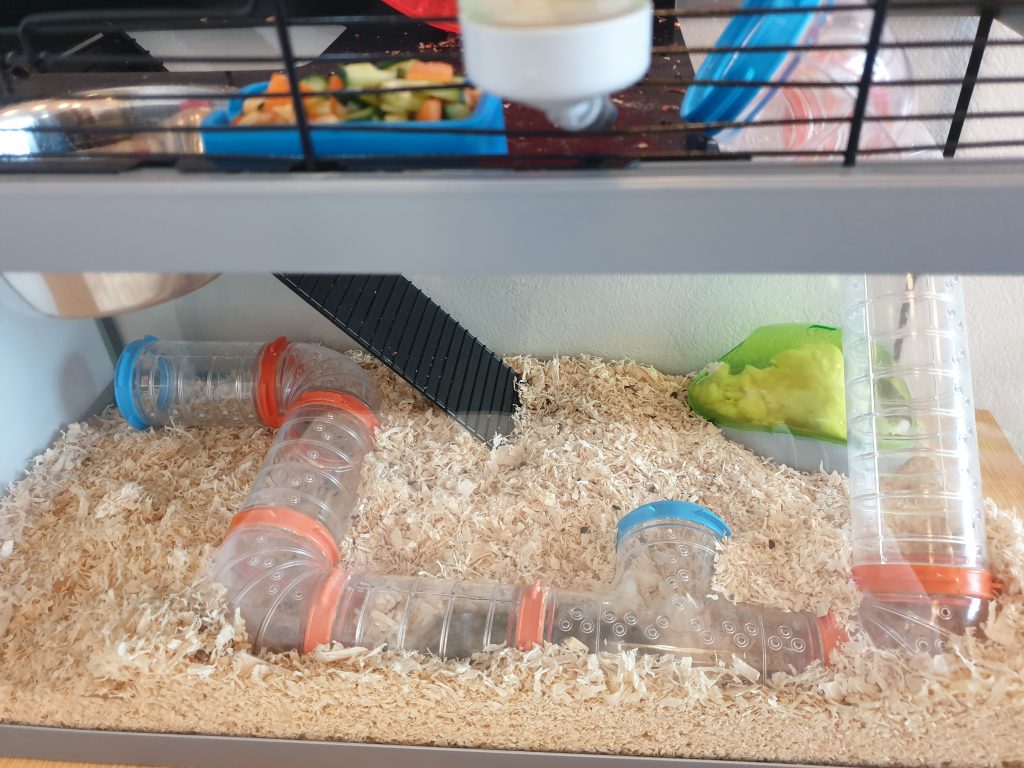 Þær kúra sig saman inni í rörinu og sofa